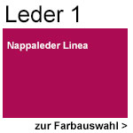 Leder 1 Linea