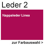 Leder2 Linea