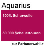 B Aquarius